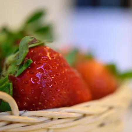 Housestation * Palermo